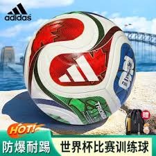 勒芒重返法甲 德约科维奇与库尔图瓦送上祝贺